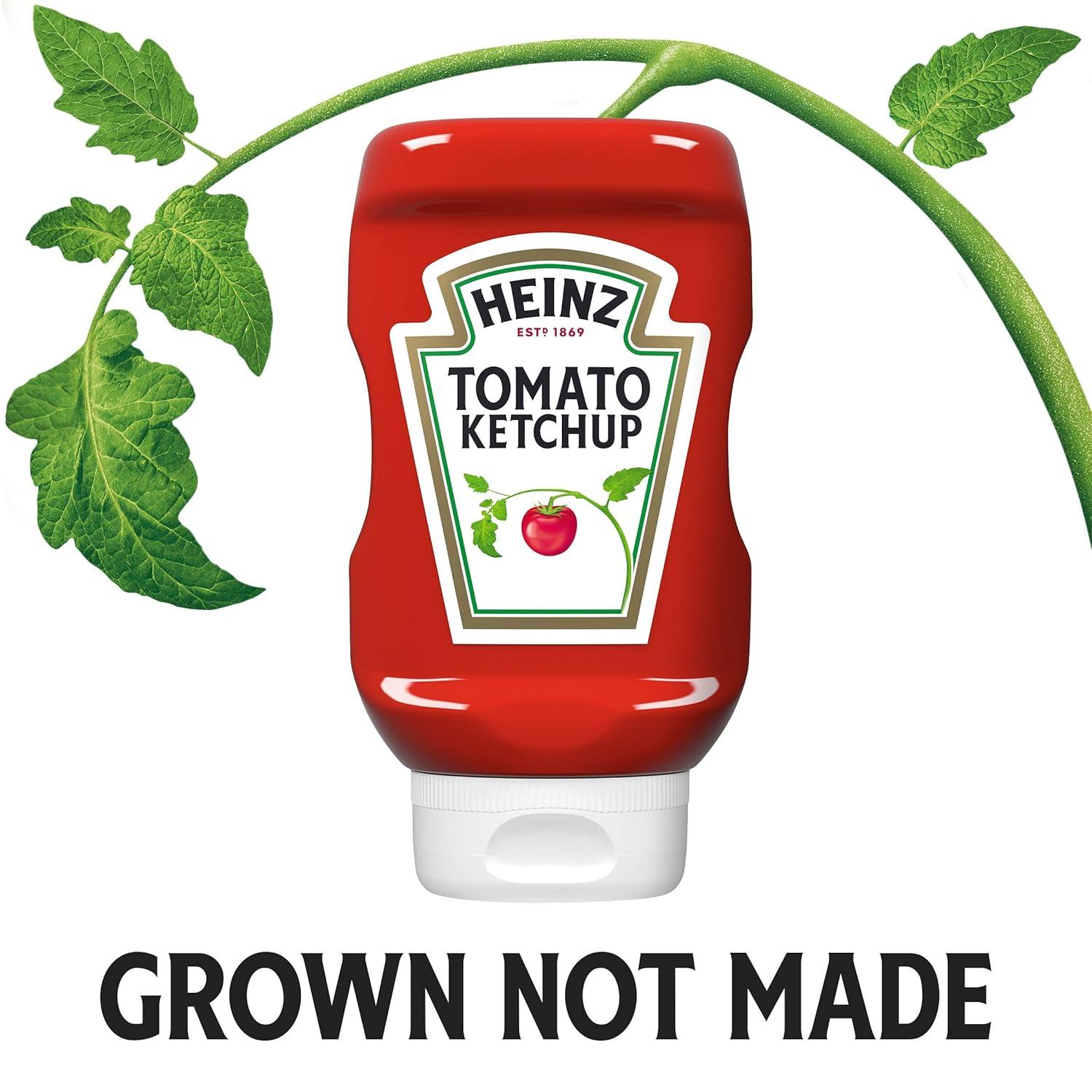 image:imageHeinz Tomato Ketchup 14 oz Bottle