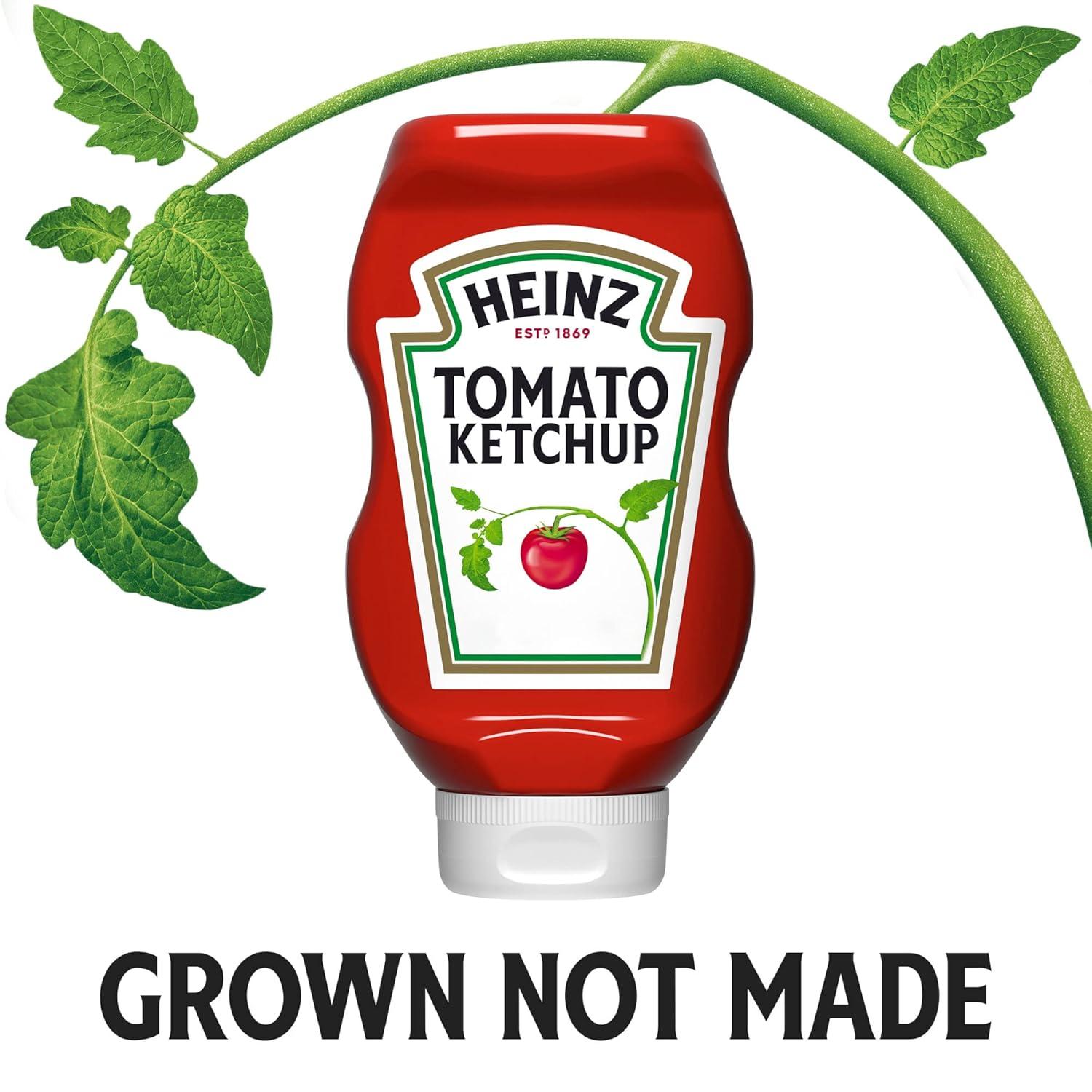 image:imageHeinz Tomato Ketchup 38 oz BottleKetchup